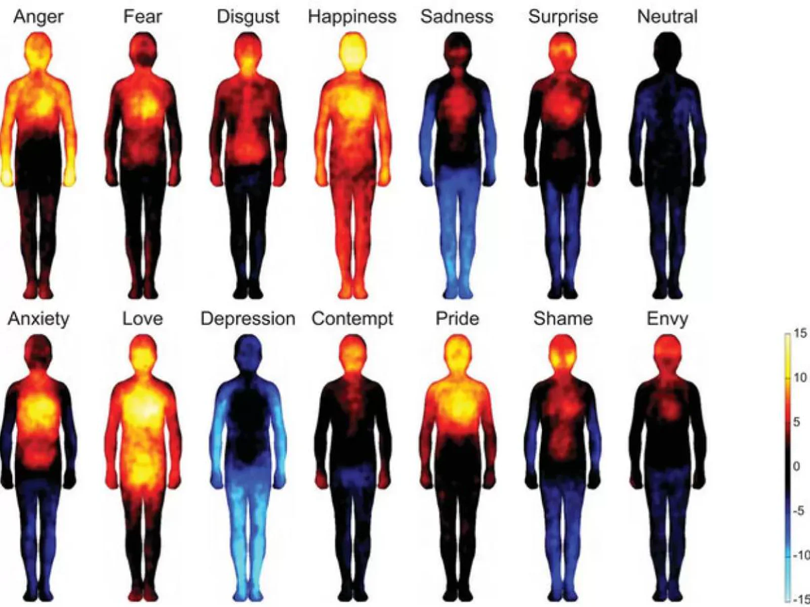 Emocje a ciało — psychosomatyczna mapa napięć w tkankach